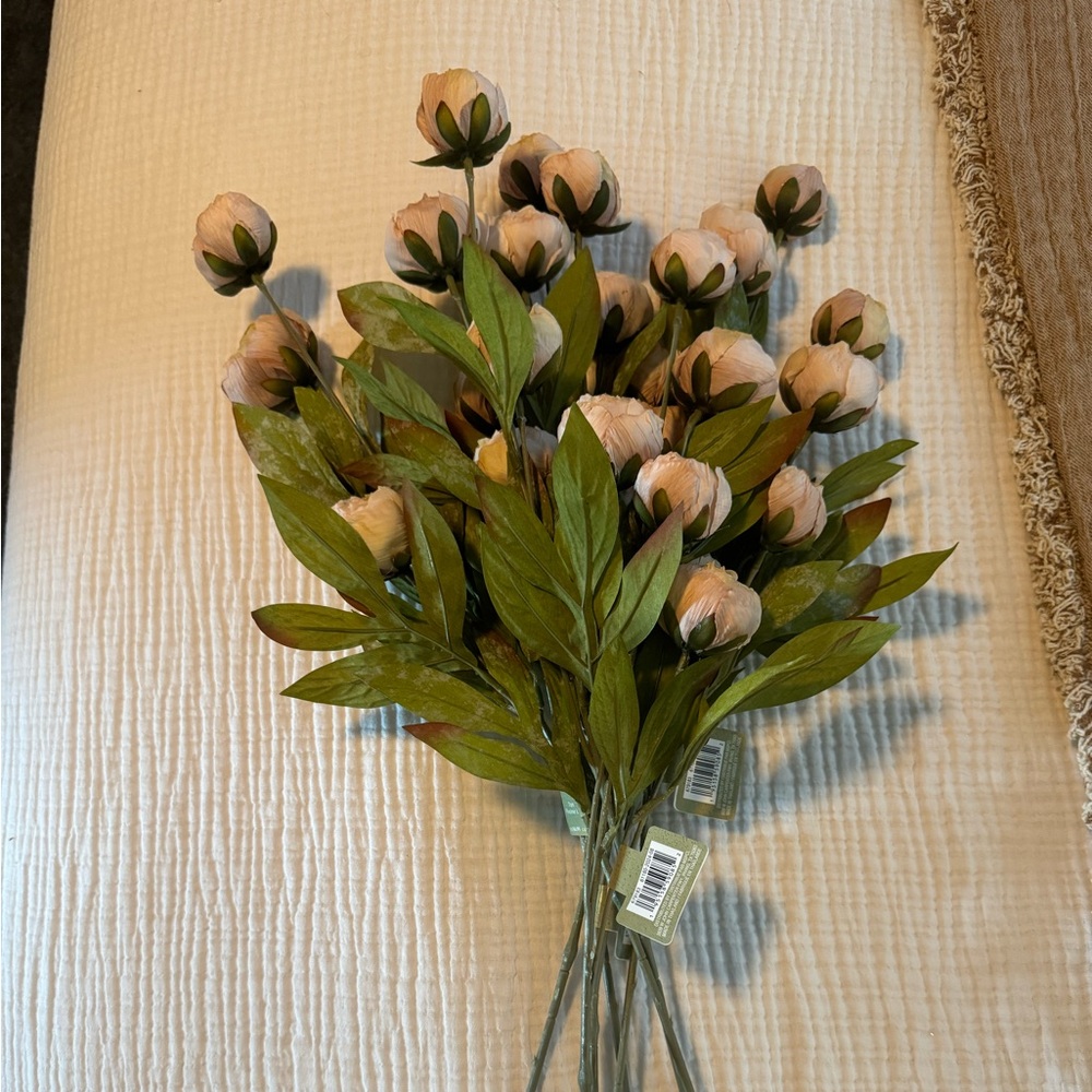 Ashland Tan Peony Stems  (8)